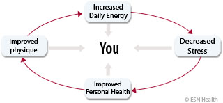 Fitness Cycle